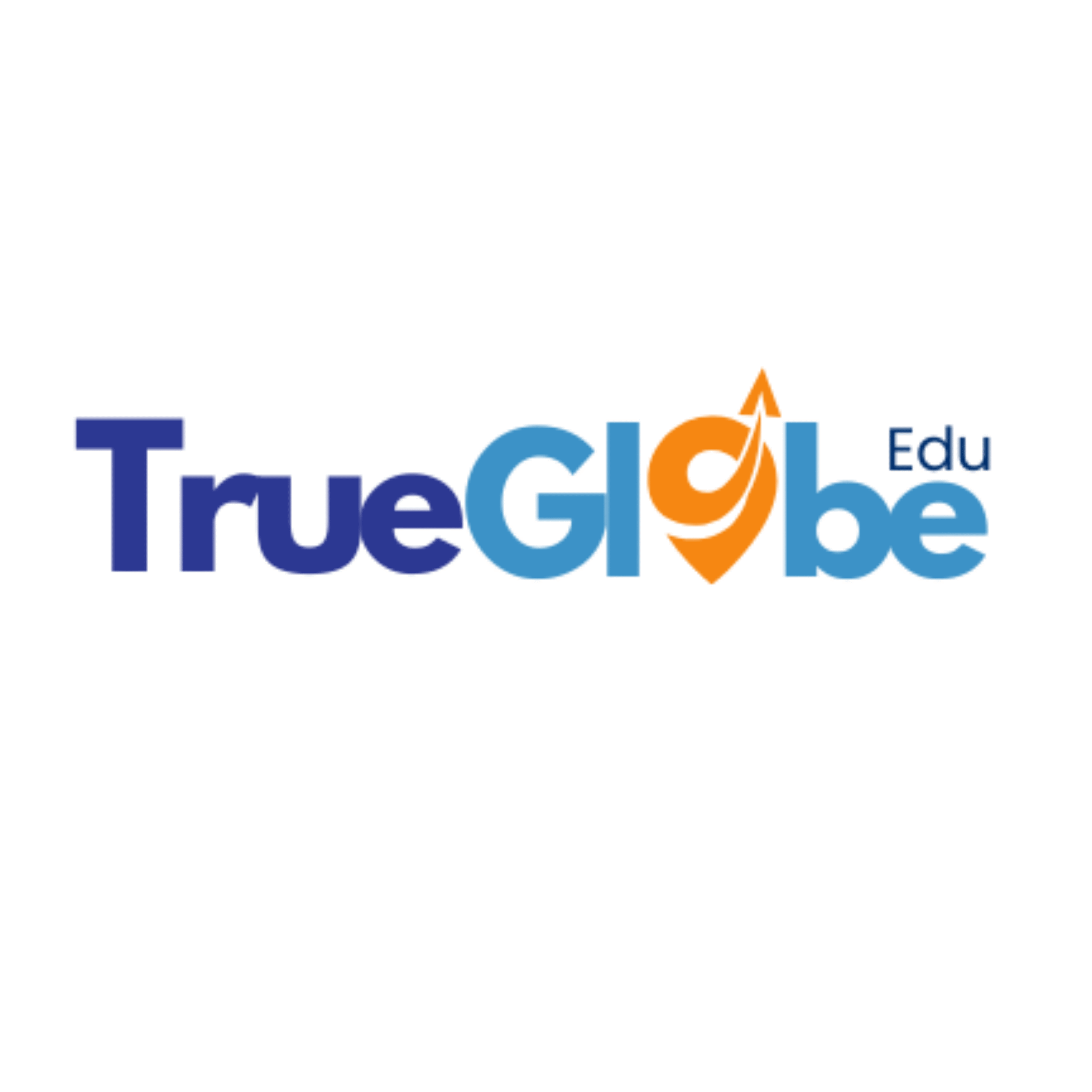 True Globe Edu Logo